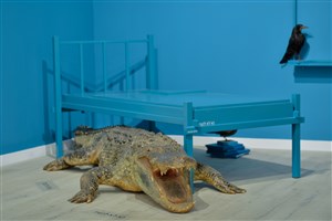 Image description is not available for 1983.1.1